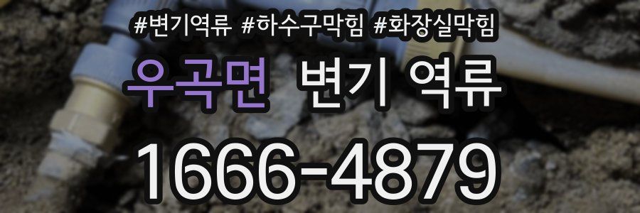 우곡면 변기 역류