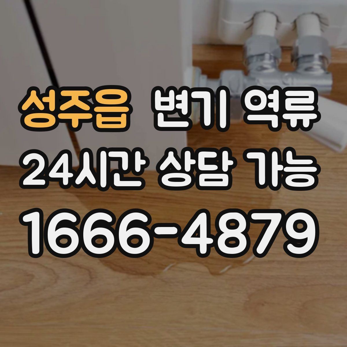 성주읍 변기 역류 오염수가 섞이면 위험한 이유