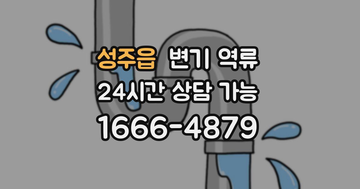 성주읍 변기 역류