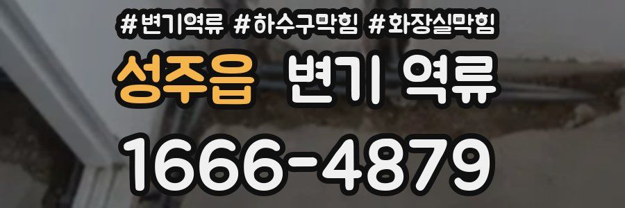 성주읍 변기 역류