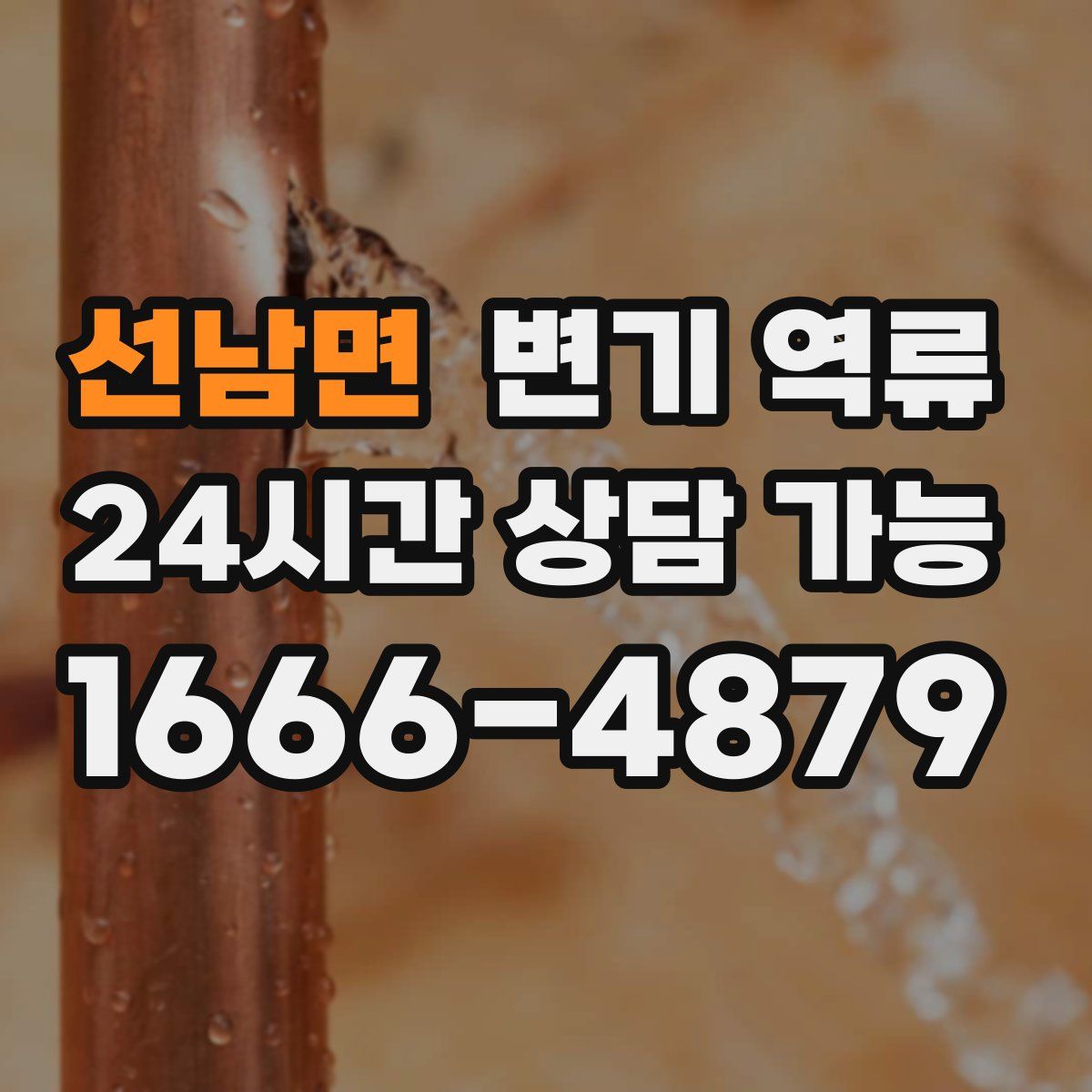 선남면 변기 역류