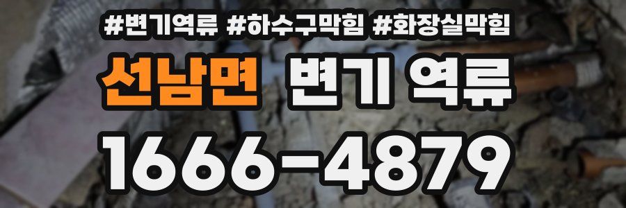 선남면 변기 역류