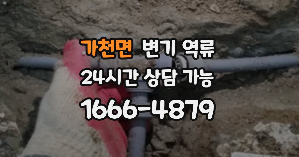 가천면 변기 역류