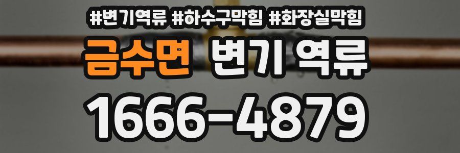 금수면 변기 역류