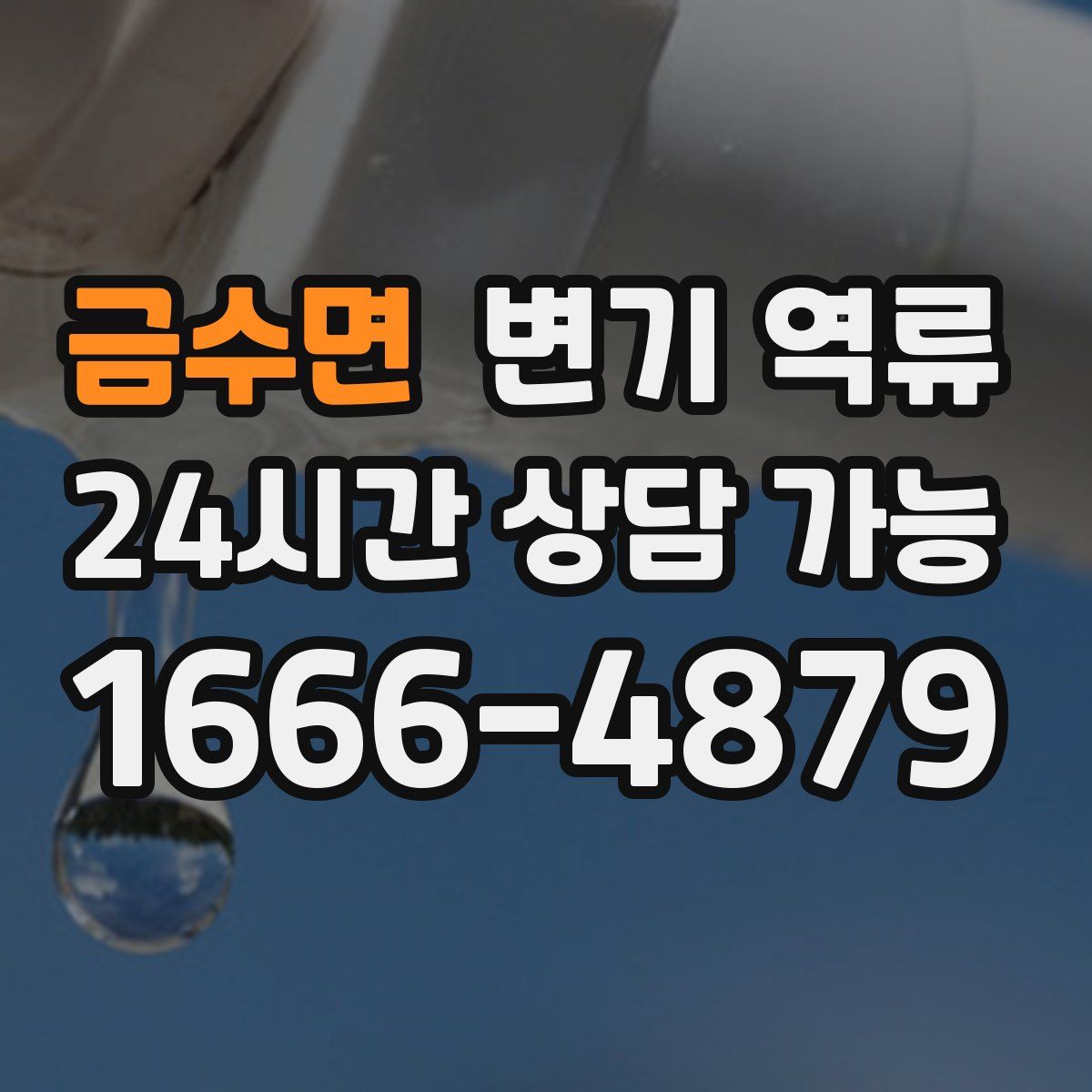 금수면 변기 역류