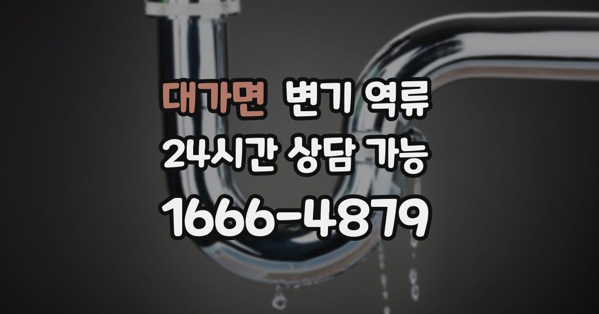 대가면 변기 역류