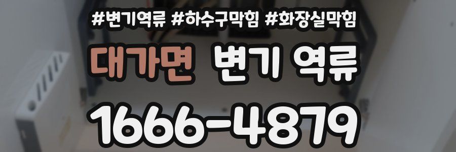 대가면 변기 역류