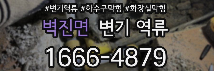 벽진면 변기 역류