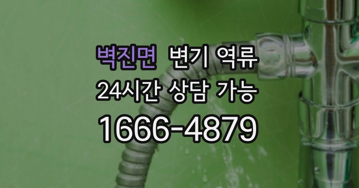 벽진면 변기 역류