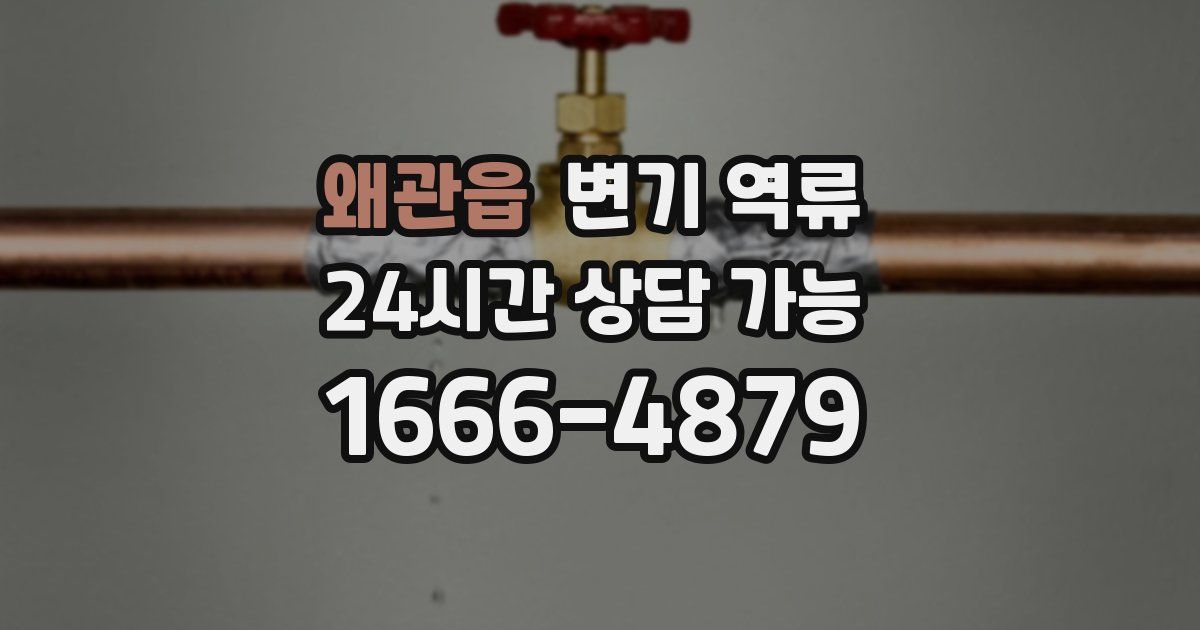 왜관읍 변기 역류