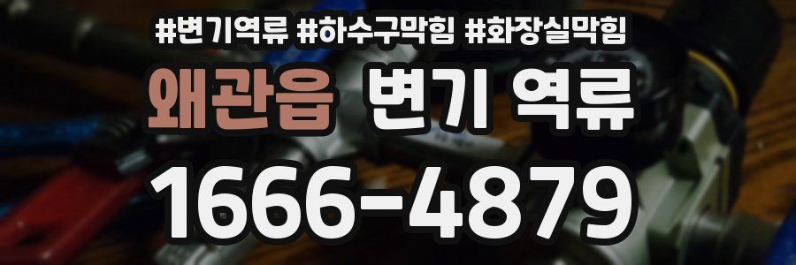 왜관읍 변기 역류