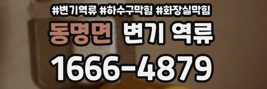 동명면 변기 역류