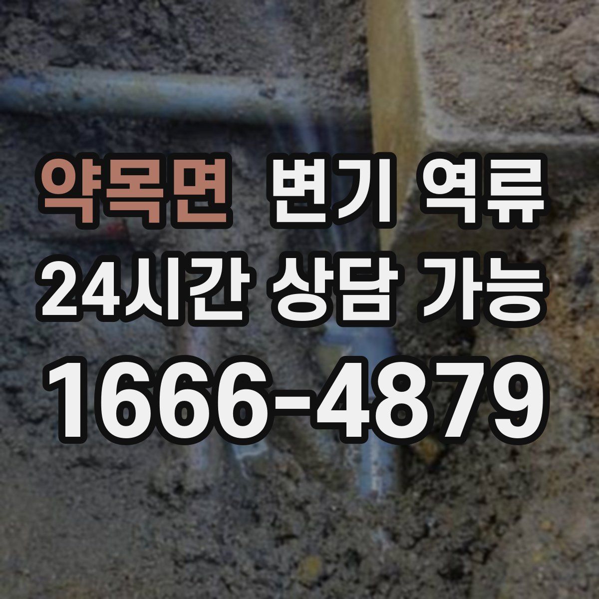 약목면 변기 역류