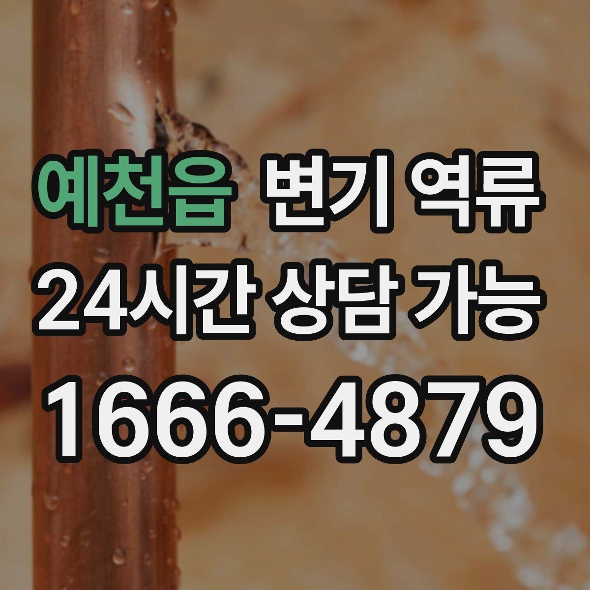 예천읍 변기 역류 바닥 배수구 트랩이 막히면 더 심해지는 이유