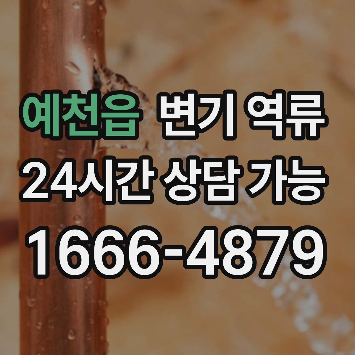 예천읍 변기 역류