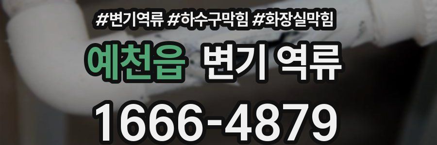 예천읍 변기 역류