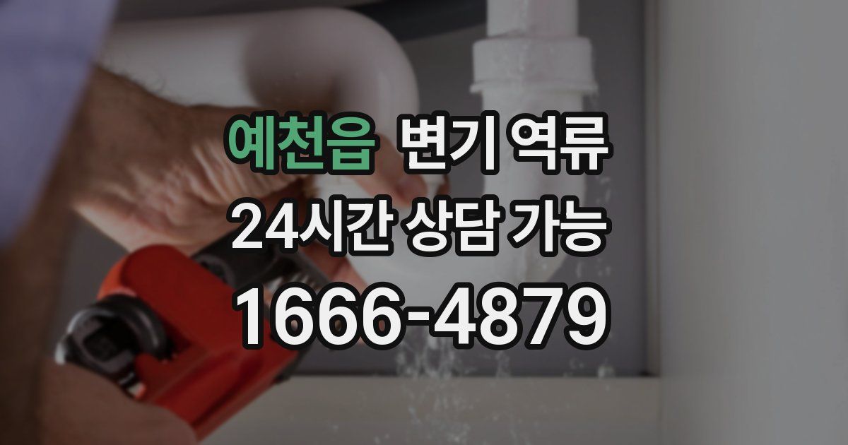 예천읍 변기 역류