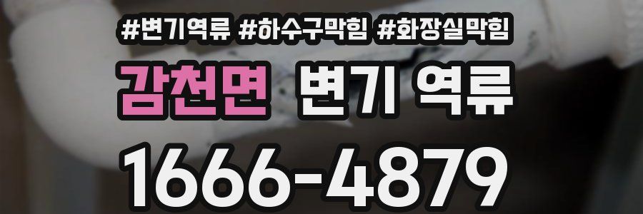 감천면 변기 역류