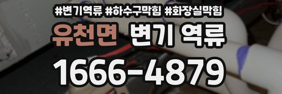 유천면 변기 역류