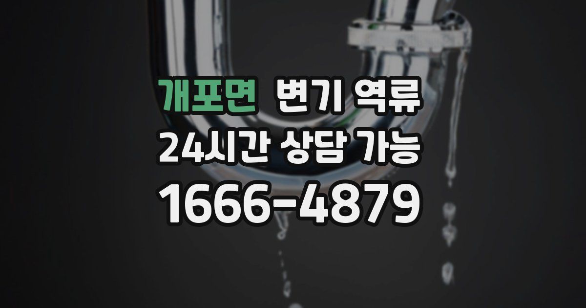 개포면 변기 역류