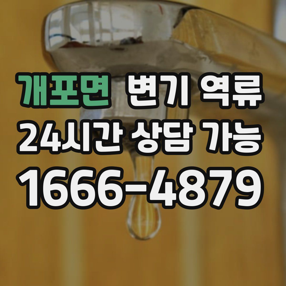 개포면 변기 역류