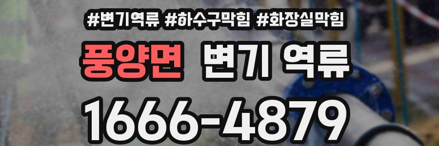 풍양면 변기 역류