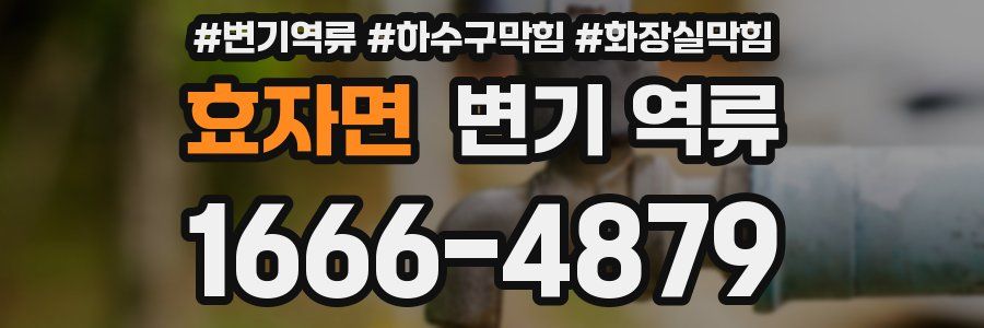 효자면 변기 역류