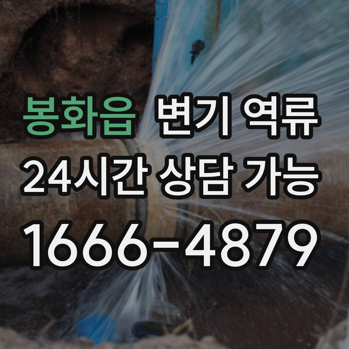 봉화읍 변기 역류 한 번 넘친 뒤 악취가 계속 나는 이유