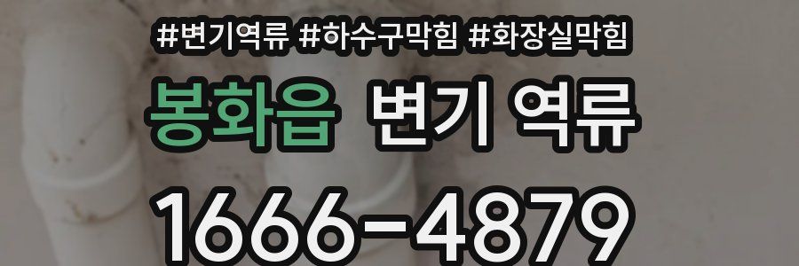 봉화읍 변기 역류