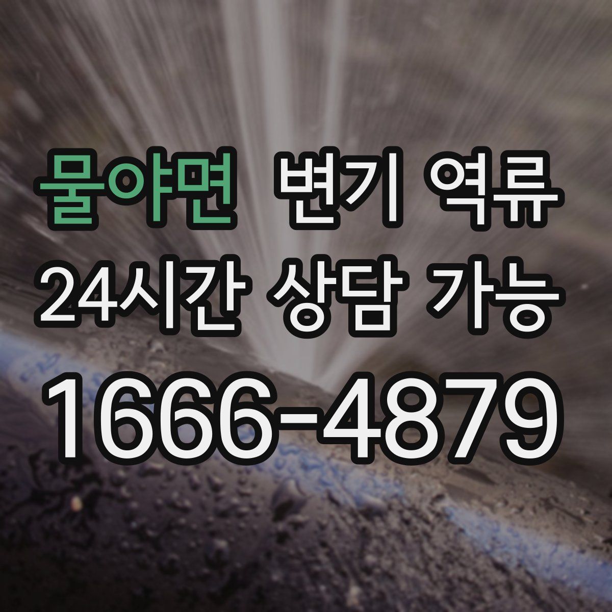 물야면 변기 역류