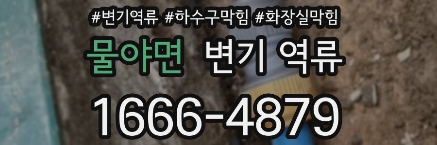 물야면 변기 역류