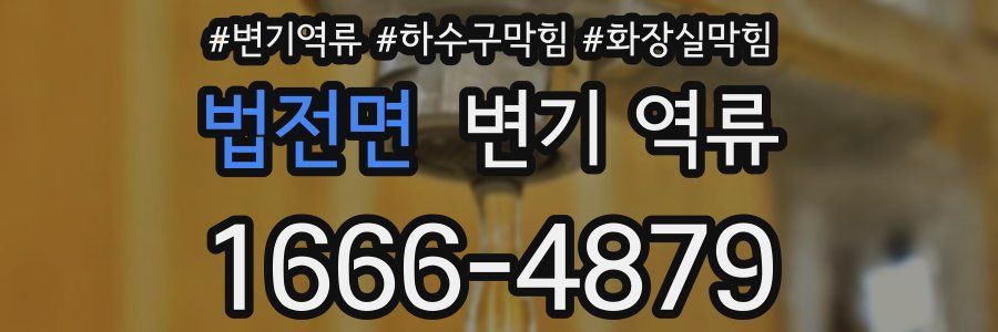 법전면 변기 역류