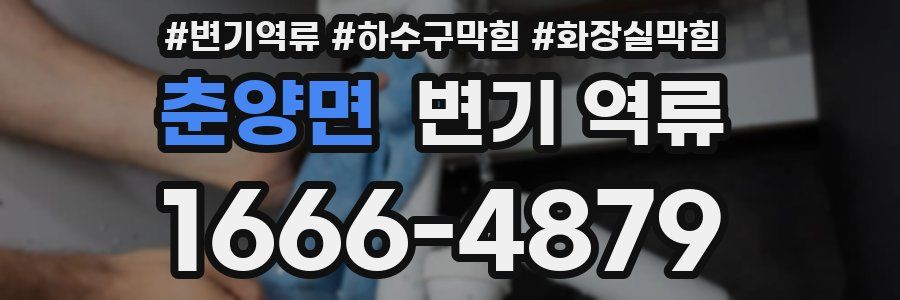 춘양면 변기 역류