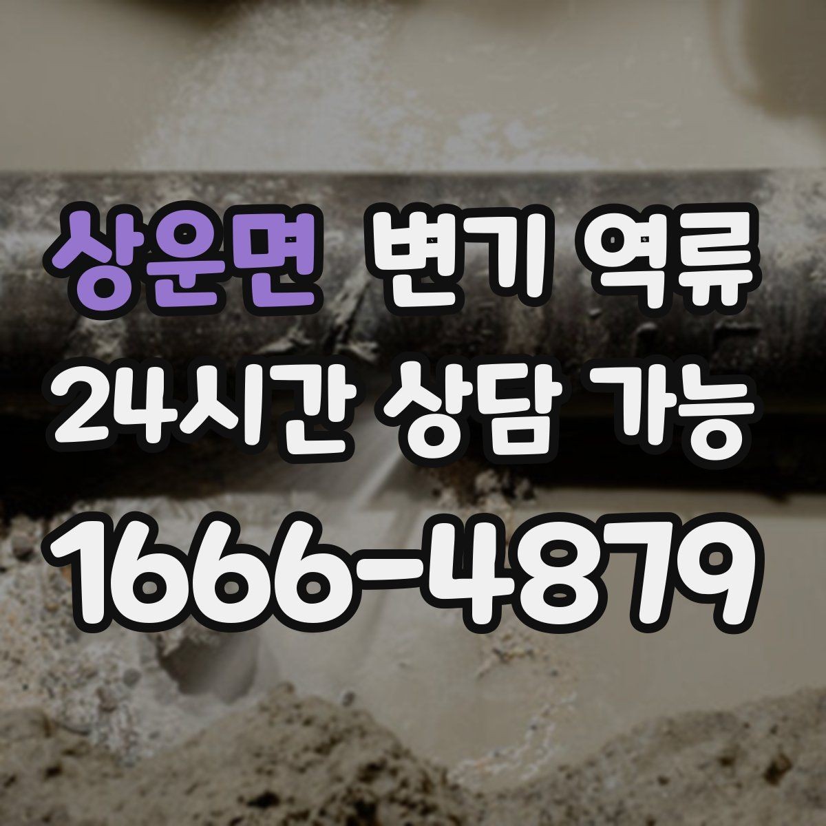 상운면 변기 역류 사진과 영상으로 남기면 도움이 되는 장면