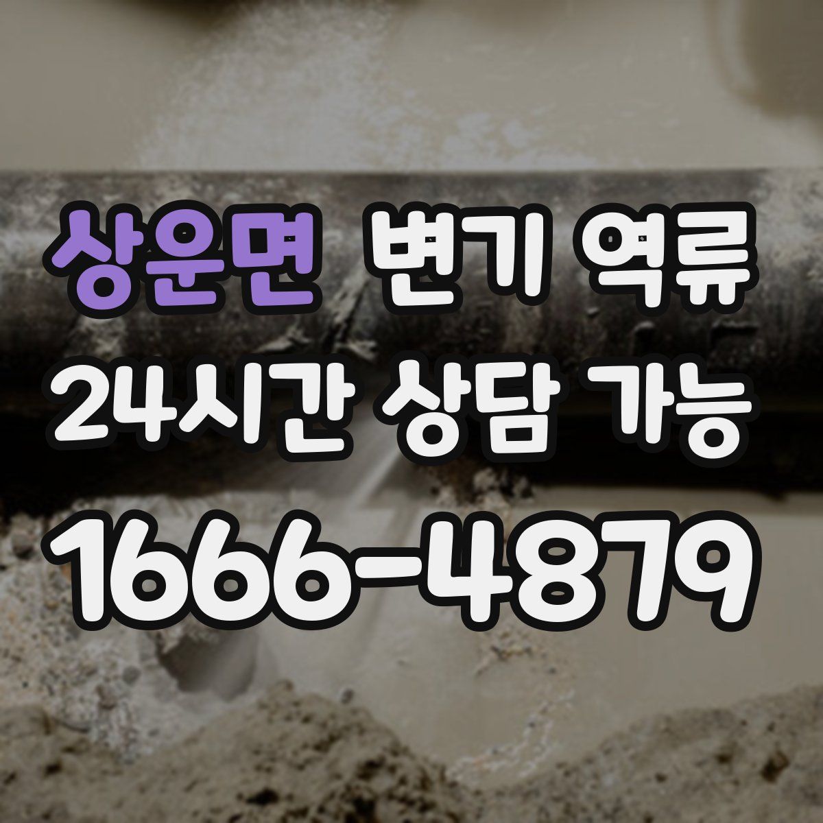 상운면 변기 역류