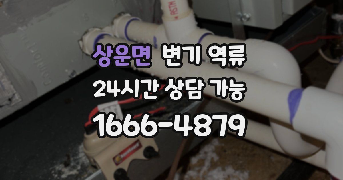 상운면 변기 역류