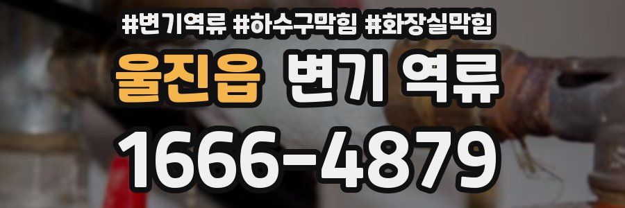 울진읍 변기 역류