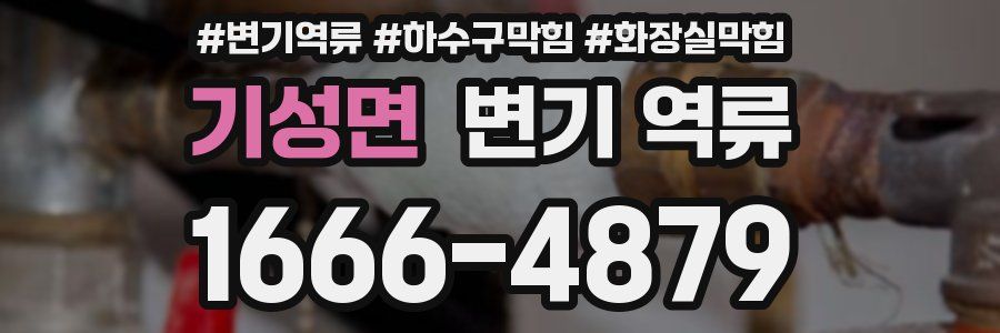 기성면 변기 역류