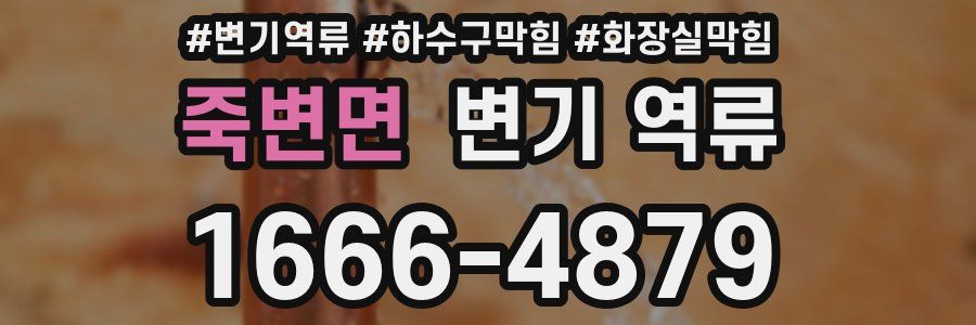 죽변면 변기 역류