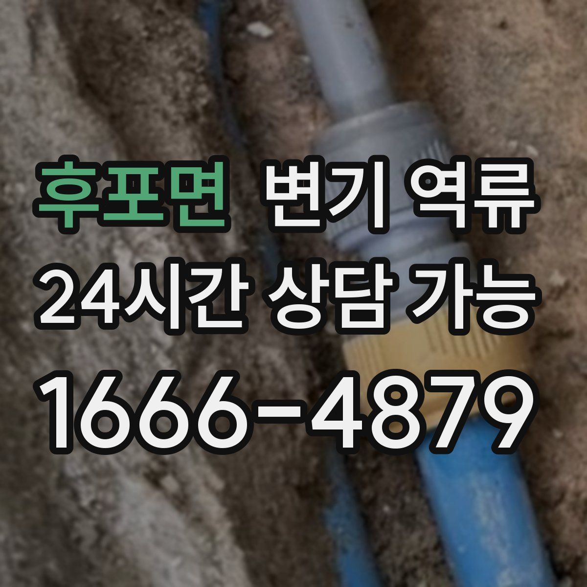 후포면 변기 역류