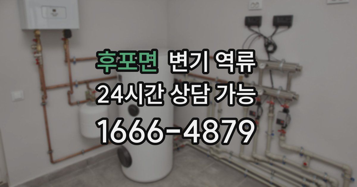 후포면 변기 역류