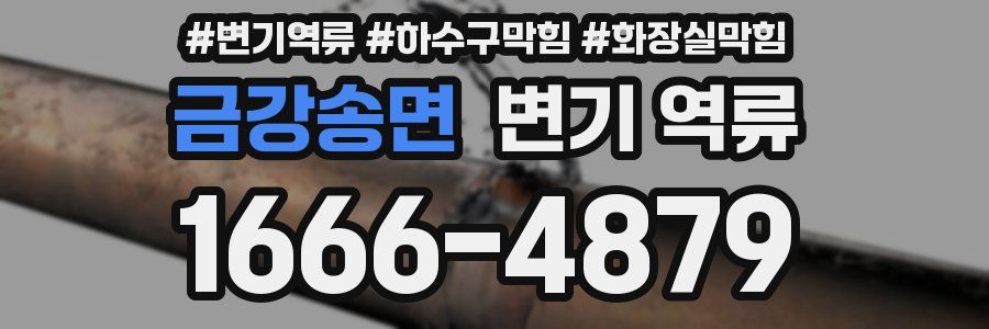 금강송면 변기 역류