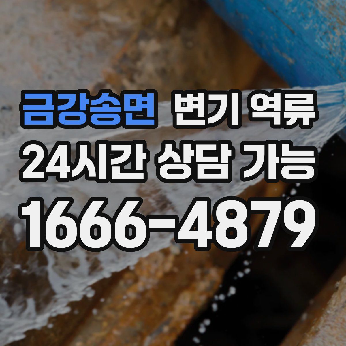 금강송면 변기 역류