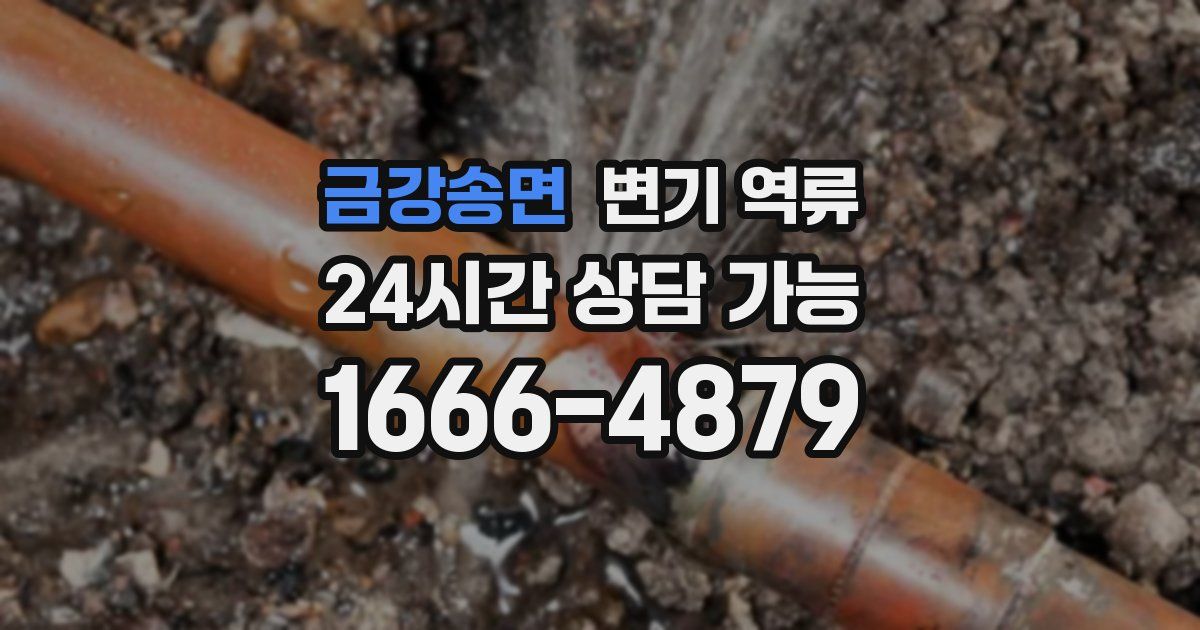 금강송면 변기 역류