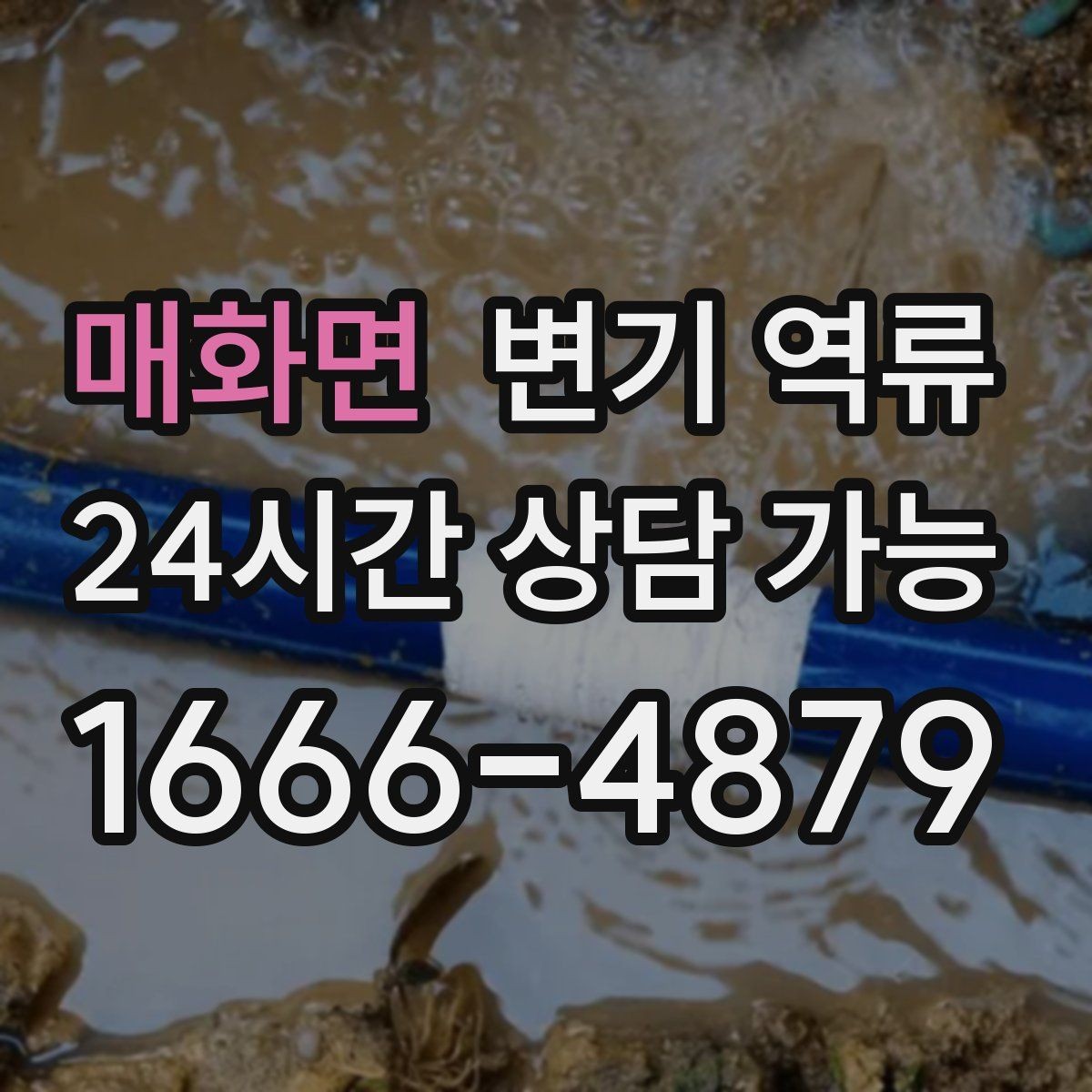 매화면 변기 역류 욕실 트랩 문제가 악취를 키우는 과정