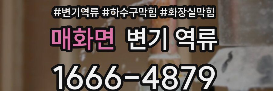 매화면 변기 역류