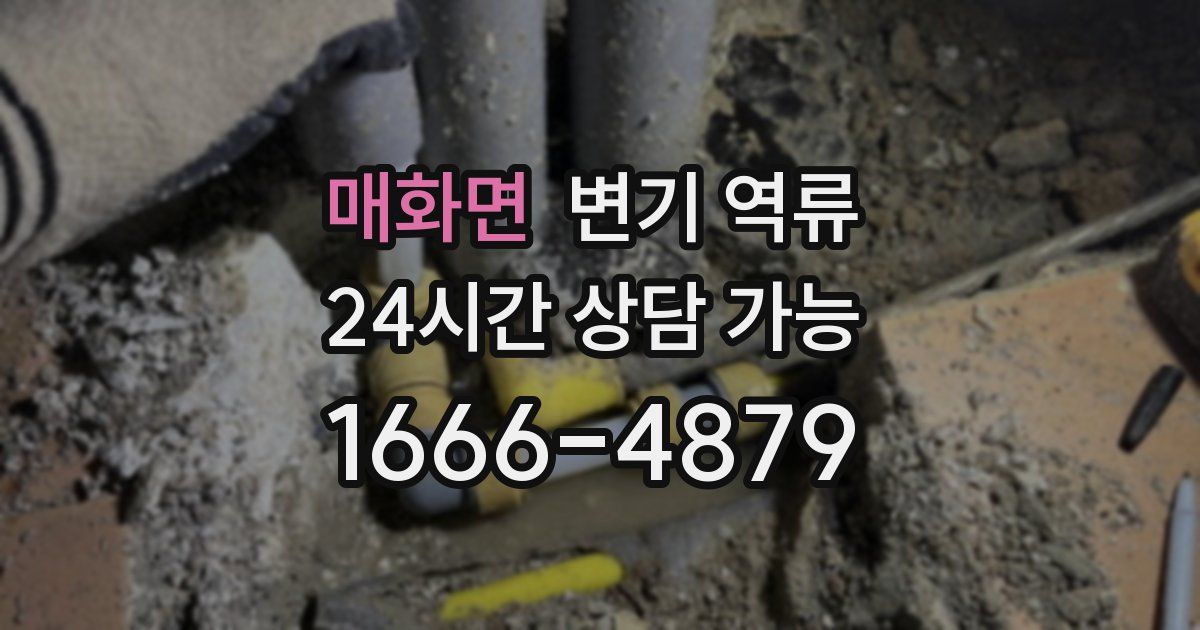 매화면 변기 역류