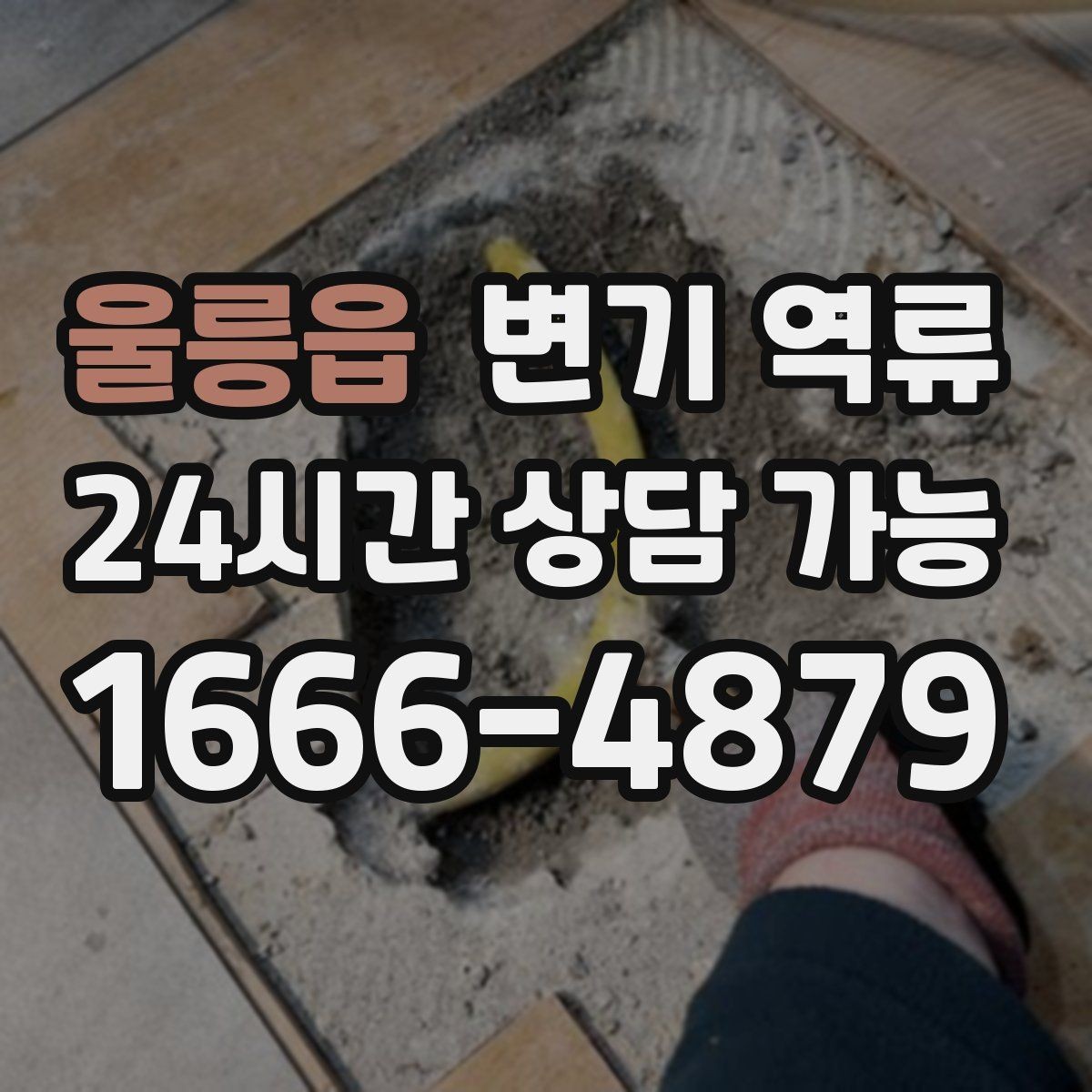 울릉읍 변기 역류 이물질이 들어갔을 때 흔한 징후