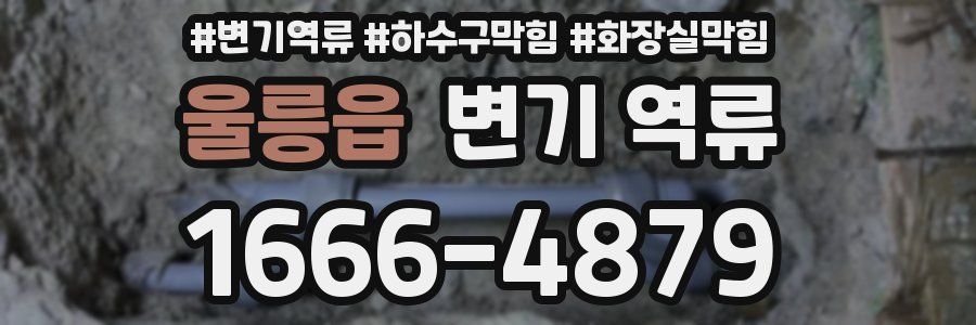 울릉읍 변기 역류