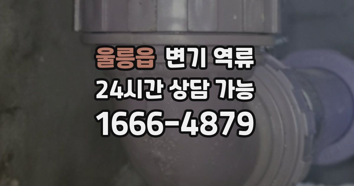 울릉읍 변기 역류